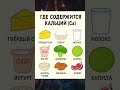 🦴 Продукты, богатые кальцием: укрепляем кости естественным путём!