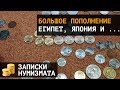 Большое пополнение коллекции монетами Египта, Японии и не только