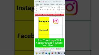 Celebrity How to Use the IMAGE Function in Excel [2024 Update] Net Worth