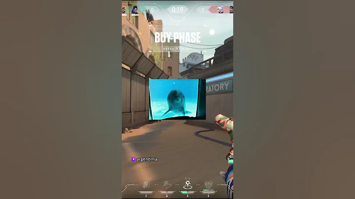 Why are Reyna mains so toxic?