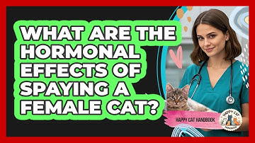 What Are The Hormonal Effects Of Spaying A Female Cat? - Happy Cat Handbook