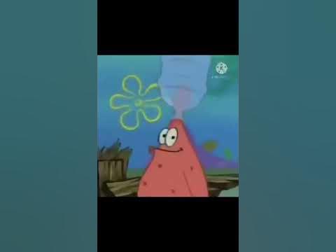 patrick with a water bottle on his head #shorts #funny #memes - YouTube