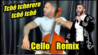 Tchê tcherere tchê tchê  - Cello Remix (Douglas Mendes )