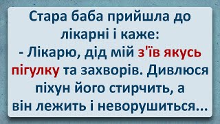 💠 Стара Баба у Лікарні! Українські Анекдоти! Анекдоти Українською! Епізод #266