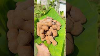 Mouth Watering Tetul (Tamarind) Makha 🤤😋 |#shorts #food #pickle #tamarind