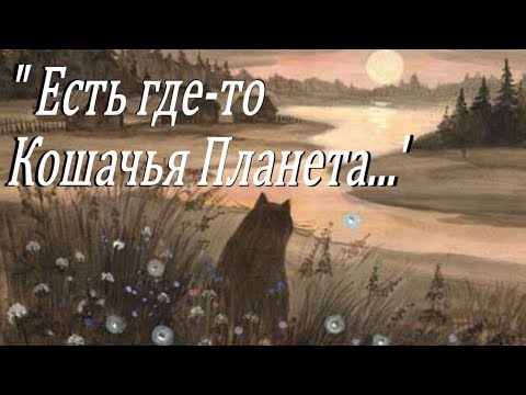 Есть где-то Кошачья Планета...(Настроение ).Проект ProShow Producer.