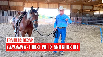 D/C  RECAP  |  Training Out UNDESIRABLE BEHAVIOR