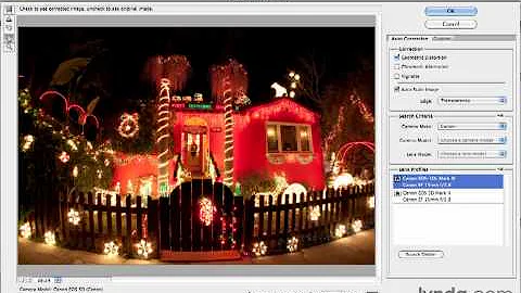 Photoshop CS5 for Photographers- Photoshop Tutorials