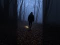 A creepy night walk in the foggy woods.