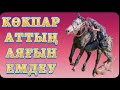 Көкпар-аттың аяғын емдеу.Дүйсенбек ағамызбен!