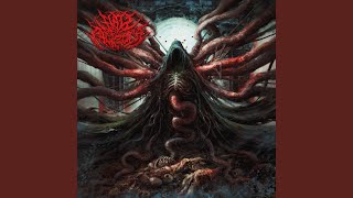 Download Lagu Cult Of Defloration (Bacha Bazi) MP3