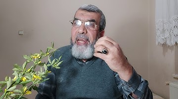 مقدمة بين يدي سورة البقرة وشرح الم  شيخ يونس الجوراني
