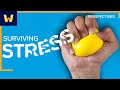 How to Identify and Cope with Stress | Wondrium Perspectives
