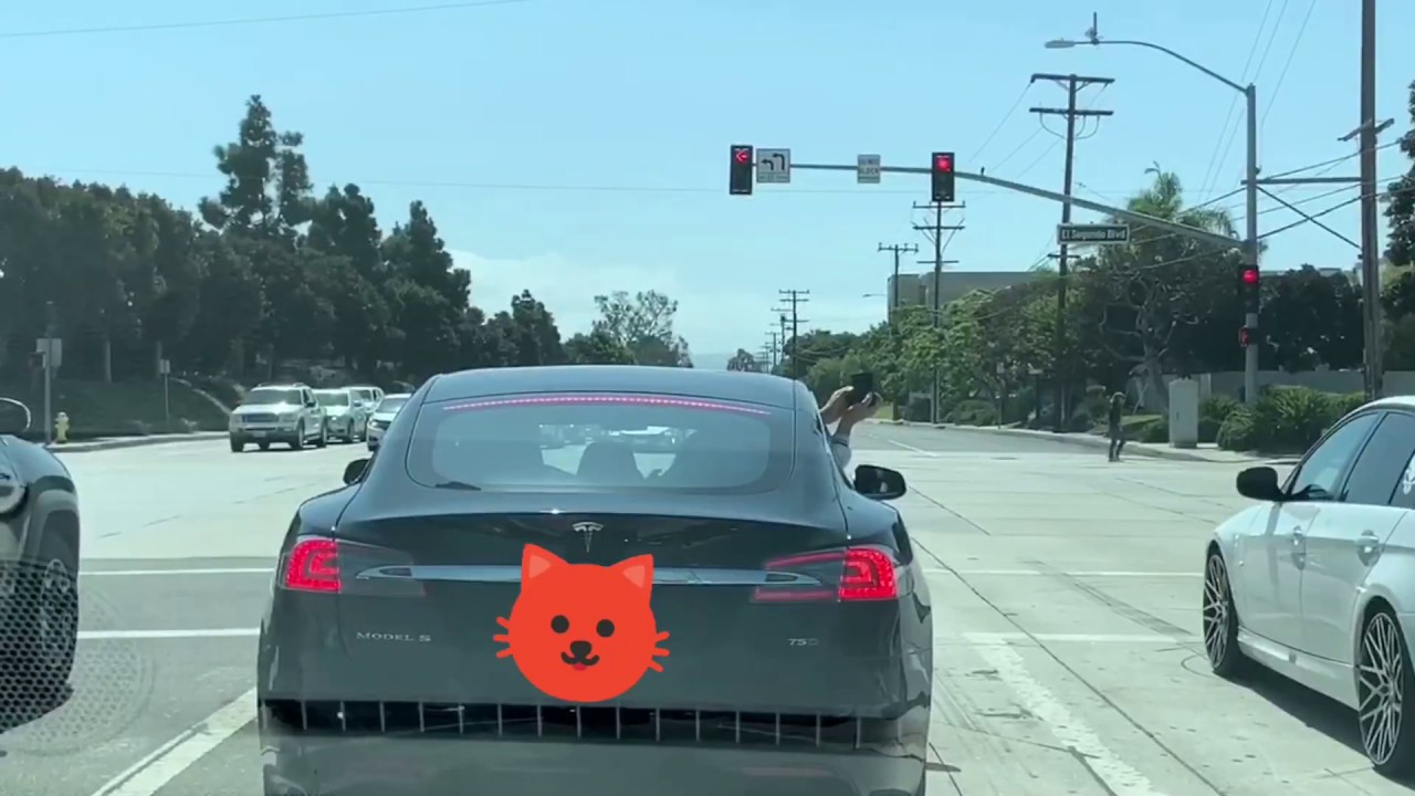 Whip a tesla Whip a tesla