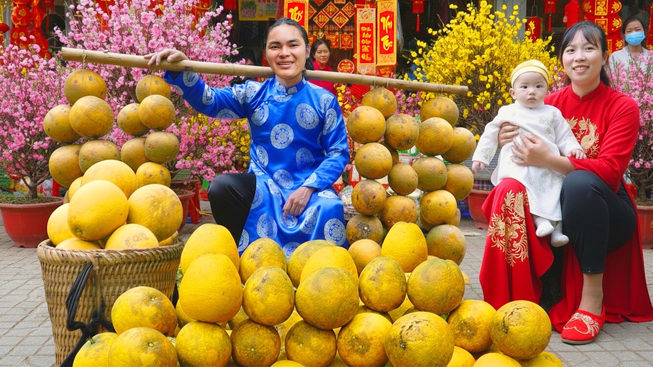 Harvesting Ripe Pomelos to Sell at the Market – Earning Money for Tet Gifts & Tasty Market Foods