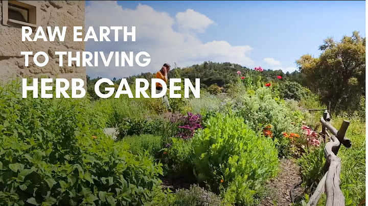 Building a thriving herb garden: 1 Year progress + expansion