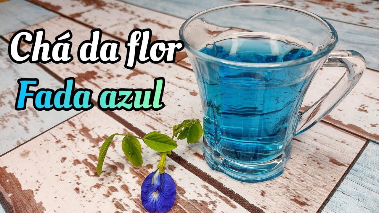 O CHÁ MAIS LINDO DO MUNDO!! CHÁ DE FLOR FADA AZUL - YouTube