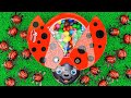 Oddly Satisfying Video l Color Mixing All My Yummy Candy in Rainbow Ladybug with Soccer Balls ASMR