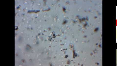 fluid inclusion study - heating