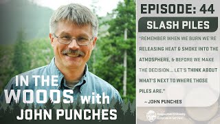 In the Woods - Episode 44: Slash Piles