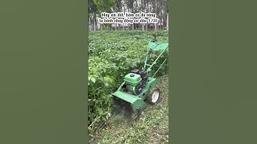 Máy xới đất, băm cỏ đa năng 4 chức năng tự hành chạy động cơ dầu 173F  #automobile #maynghiencam