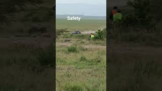 WRC Safari rally powerful Safety cars (0 00 000)  comment if you know the meaning of zeros screenshot 3