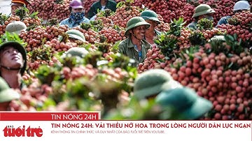 Tin nóng 24h: Vải thiều nở hoa trong lòng người dân Lục Ngạn