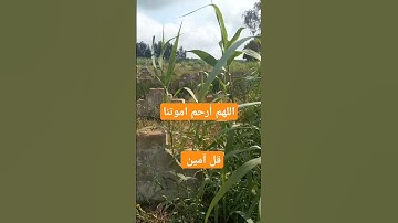 لا تهرب القرآن الكريم ثاني من وقتك