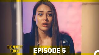 The Perfect Tenant  Episode 5
