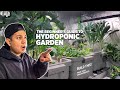 Ep3 the beginners guide to hydroponic garden plus diy containers and homemade liquid nutrients