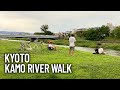 Kamogawa duck river riverbanks  popular walking spots for residents