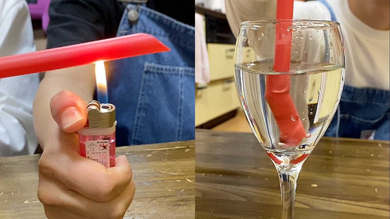 寄生虫まみれのクワガタをお酢に浸けると のyoutube動画統計 Noxinfluencer