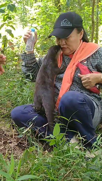 Siboni cium Ibuku 😘😘 #betinurgustiani #siboni #animals #americanfunnyvideos