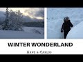 A tour of ARNE & CARLOS' winter wonderland