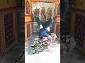 mummy ke peeth per stunt 🥰🙏🤸 #videos #yogaexercise #maa #viral #viralvideo #videos #subscribers