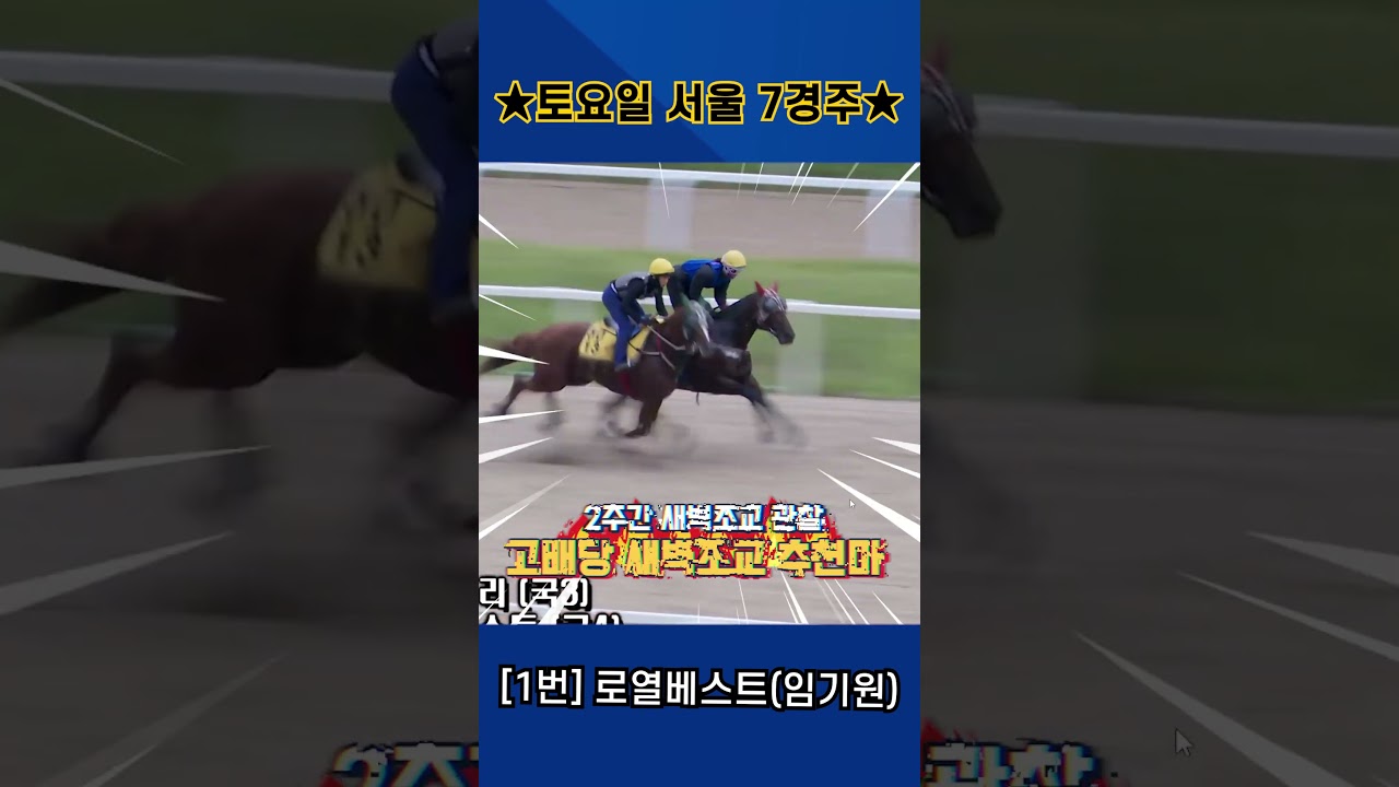 8월22일 토요일 서울 7경주!! 2주간 훈련보인 강백호의 새벽조교 쏘스마!!