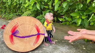 Baby monkey Abi worriedly went to get her mother a conical hat in the hot sun