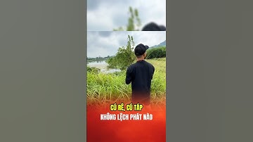 Đi lure cá lóc mà dính như này thì hết nước chấm #lkhoa #cauca #shorts