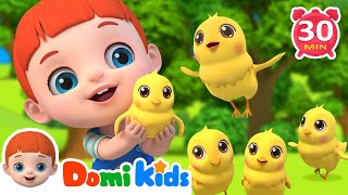 Five Little Chicks+ More Domikids Baby Songs & Nursery Rhymes | Educational Songs