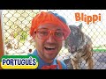 Blippi Visita um Zoológico | +mais Vídeos Educativos para Crianças | As Aventuras de Blippi