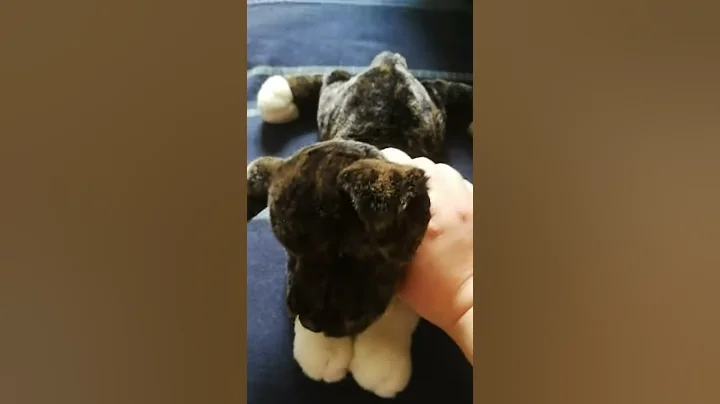 GRAIL UNBOXING (Douglas Rudy Pitbull) part 2/outro
