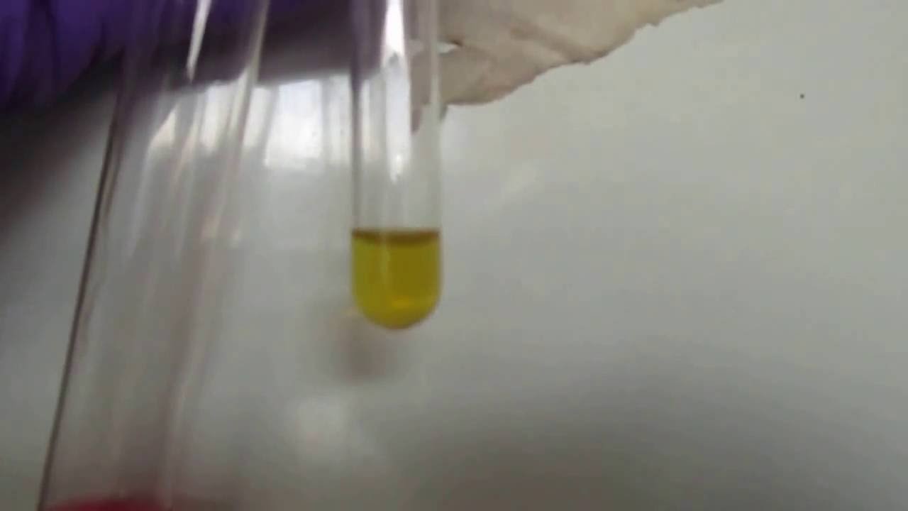 Methyl red test results YouTube