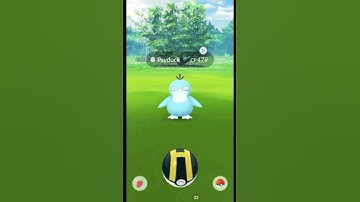 I have got a shiny psyduck #shorts