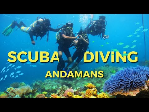 Scuba diving in Andamans: Havelock Island🏝️