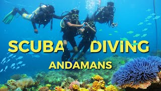 Scuba diving in Andamans: Havelock Island🏝️