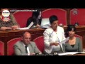Riforme, Serra (M5S): "Basterebbe saper