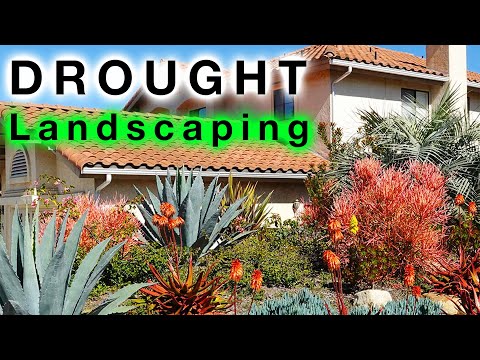 Video: Xeriscape Irrigation: Systems to Water a Drought Tolerant Landscape