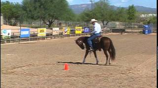 Warm up Drill: Recognizing Parts of the Horse