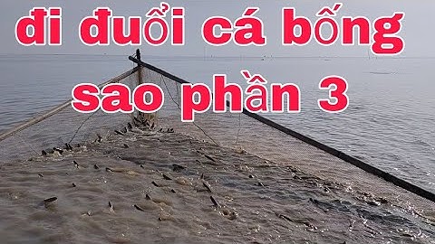 lâu lâu đi đuổi cá bống sao trúng đậm đuổi chỉ hai lưới không đủ chỗ chứa