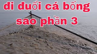 lâu lâu đi đuổi cá bống sao trúng đậm đuổi chỉ hai lưới không đủ chỗ chứa